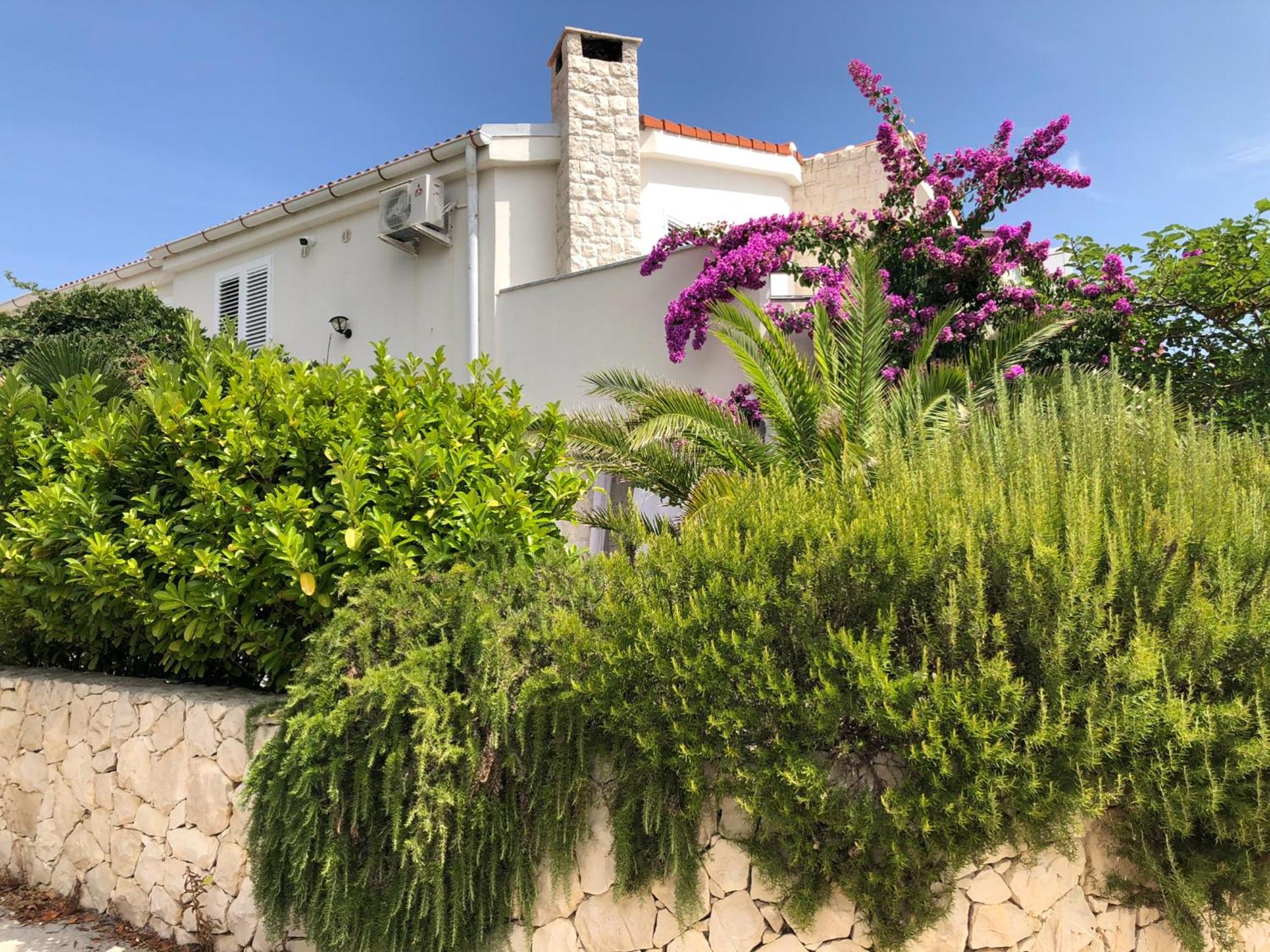 ויר Mirakul Apartments מראה חיצוני תמונה